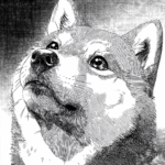 Thumbnail of post image 187